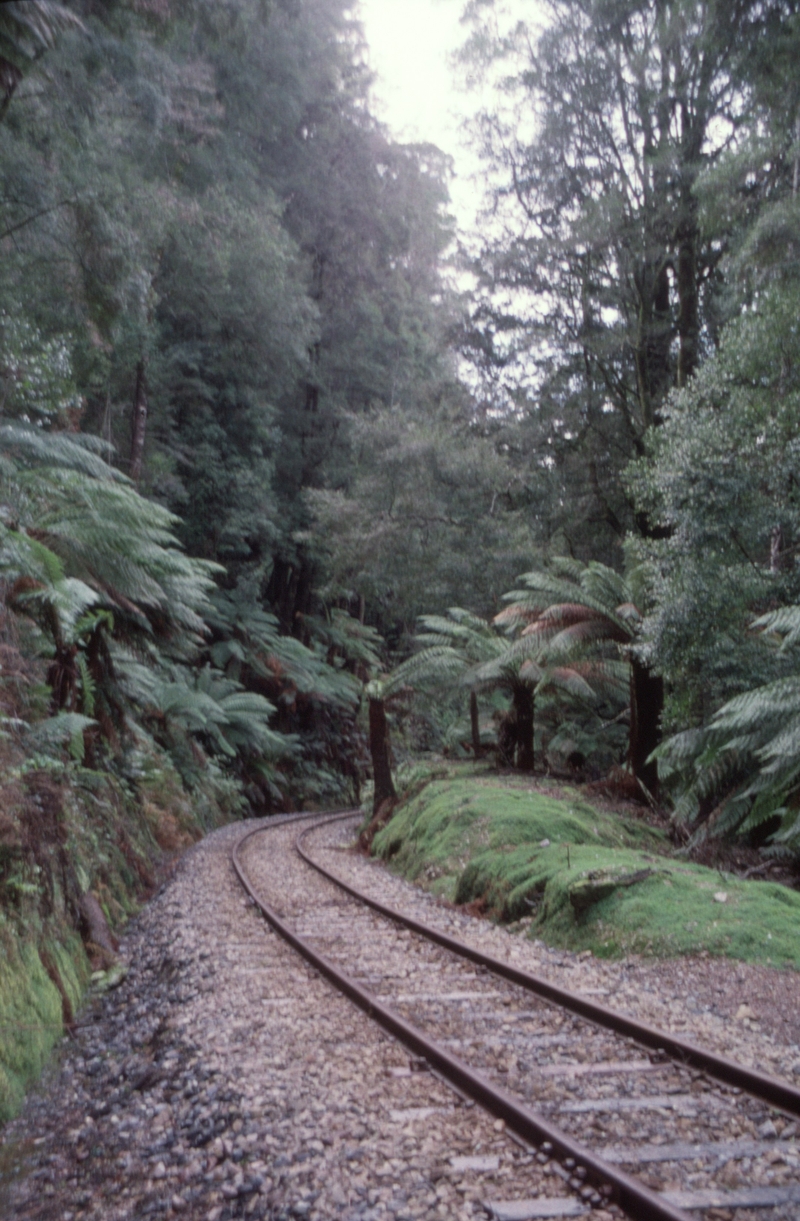 128783: Looking along line towards Queenstown from Bridge 32 WCWR