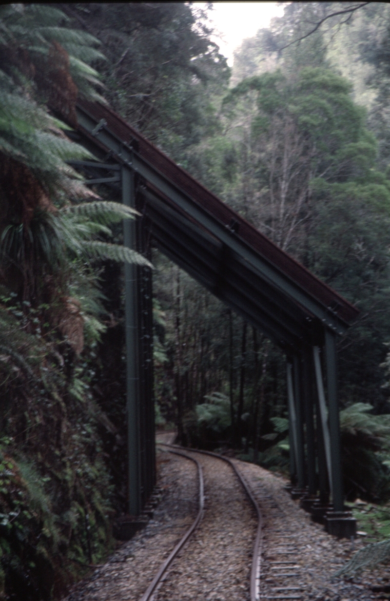 128784:'The Grizzley' km 19.18 WCWR looking towards Queenstown