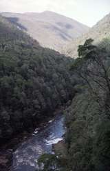 128803: View of King River from Bridges 18 & 19 WCWR