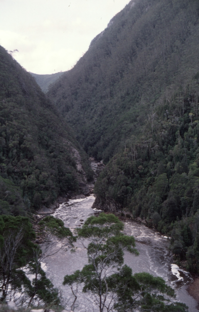 128804: View of King River from Bridges 18 & 19 WCWR