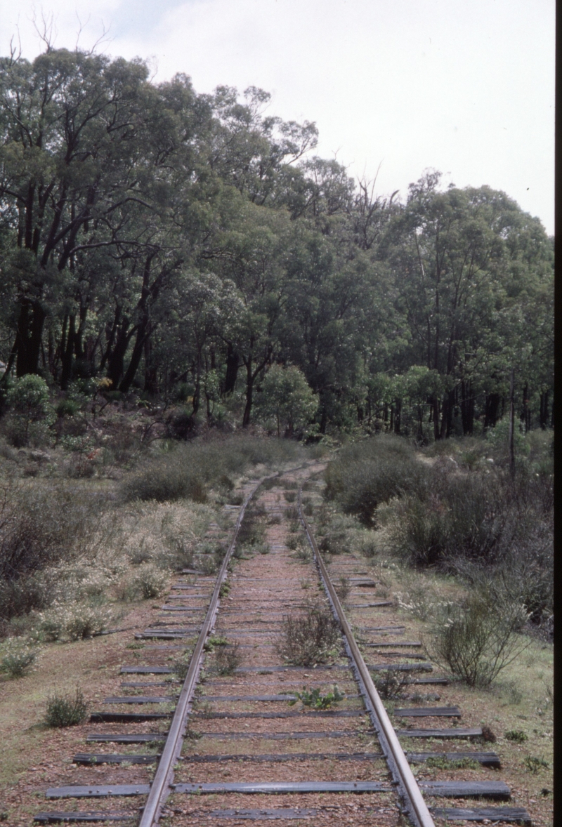 128925: Etmilyn lookingtowards Pinjarra