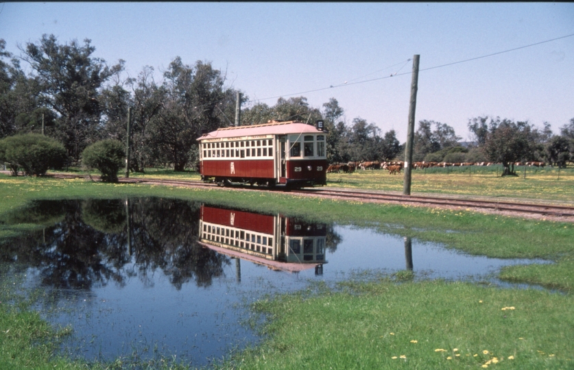 129053: Whiteman Park Lord Street Line AREA Special Fremantle No 29