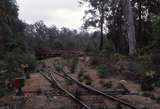 129106: Lambert looking towards Manjimup from South end