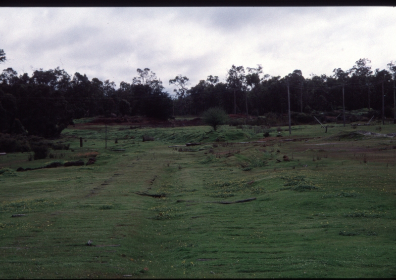 129113: Jarrahwood looking towards Wonnerup from South end