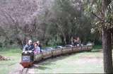 129126: Whistle Stop Railway near Busselton Passenger 0-6-0D