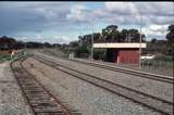 129197: Bonnie Vale looking towards Kalgoorlie