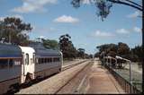 129210: Merredin Up 'Prospector' (WCE922 WCA 904), WCA 901