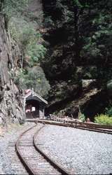 129245: Walhalla looking towards Thomson from Goods Platform