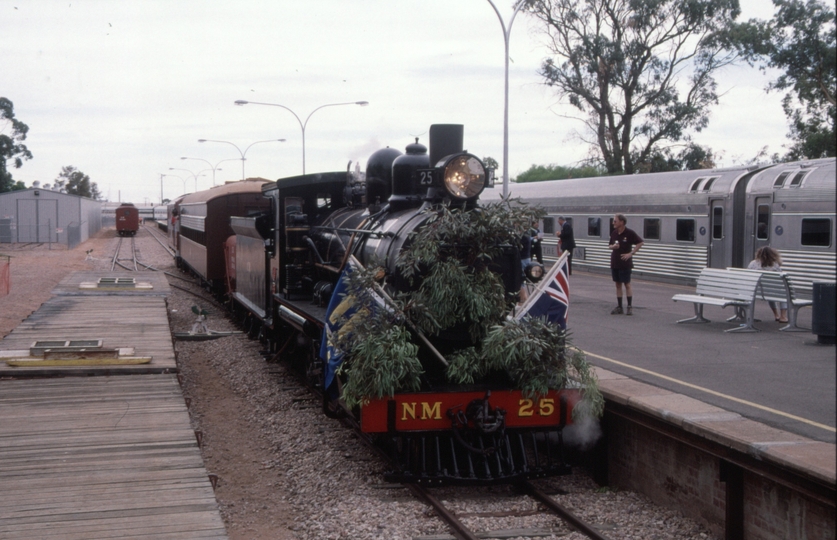 129403: Port Augusta NM 25 in background Inaugural Darwin 'Ghan'