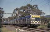 129622: Mooroolbark Suburban to Melbourne Connex Comeng 597 M leading