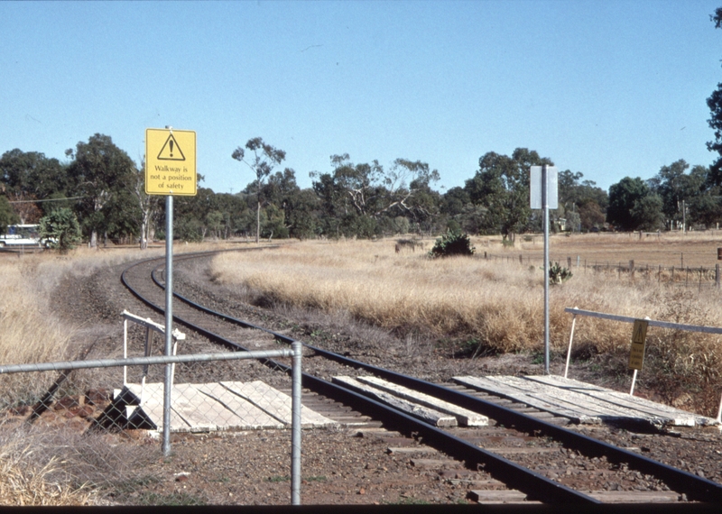 129795: Morven Cattle Grids at West end looking towards Charleville