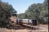 129835: Warrego River Bridge ARHS Special to Quilpie 1772