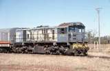 129841: Cooladdi ARHS Special to Quilpie 1772