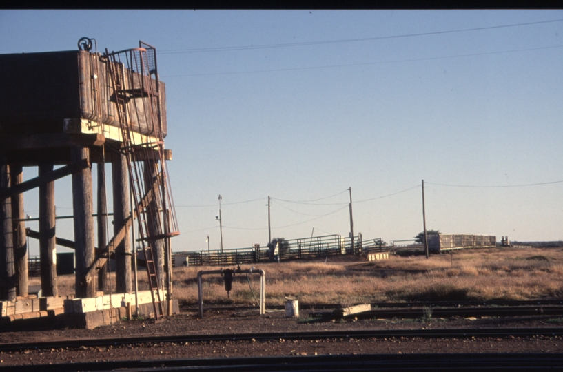 129850: Quilpie Stockyards viewed from passenger platform