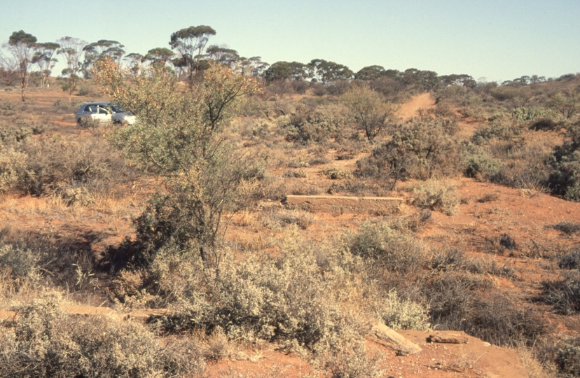 130347: km 4.5 Tarrawingee Tramway looking South