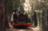 130650: Menzies Creek PBPS Museum 12A stored