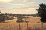 130757: Second Bridge on Bungaree Deviation viewed in distance from North side