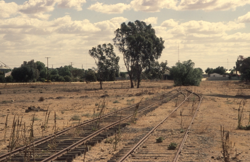 130891: Jerilderie looking towards Tocumwal