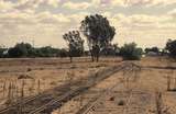 130891: Jerilderie looking towards Tocumwal