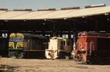 130925: Junee Locomotive Depot 44206 838 4503