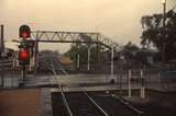 131025: Narromine looking West Peak Hill Line at left