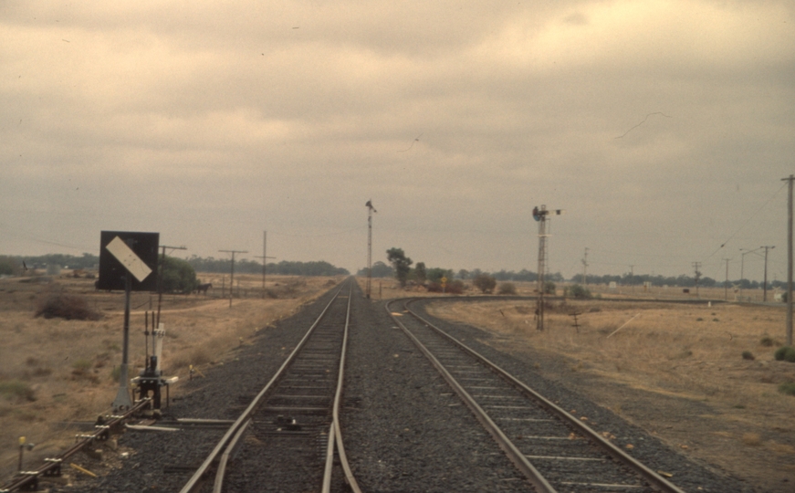 131031: Nevertire looking towards Nyngan