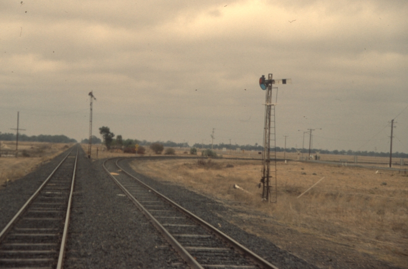 131032: Nevertire looking towards Nyngan Warren Line at Right