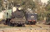 131138: Maldon D3 636 and Tender J 549