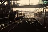 131161: Southern Cross Platform 3 Steamrail Special from Geelong D3 639