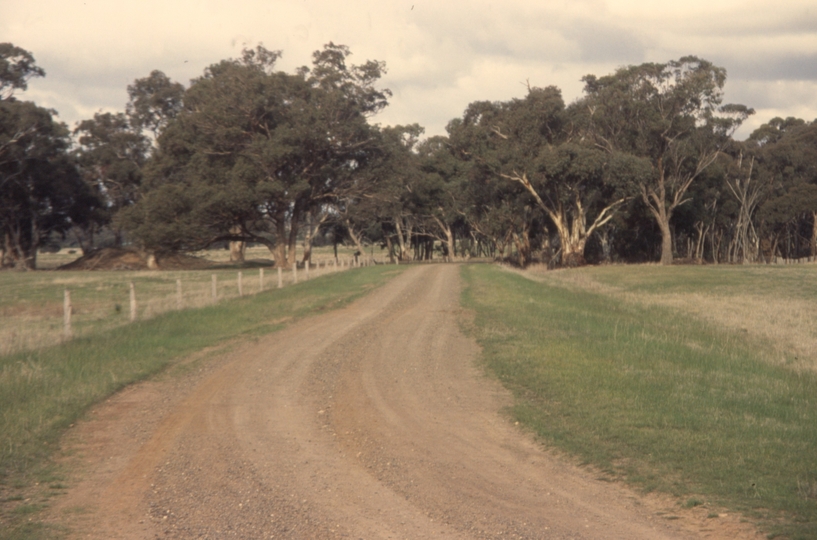 131186: Laanecoorie Extension  1 km from Shelbourne looking back towards Shelbourne