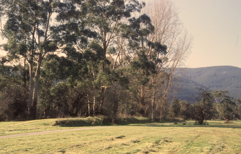 131188: Wesburn Lilydale end looking towards Warburton