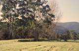 131188: Wesburn Lilydale end looking towards Warburton