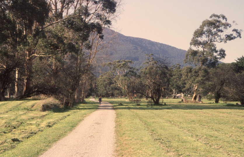 131190: Wesburn Lilydale end looking towards Warburton
