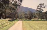 131190: Wesburn Lilydale end looking towards Warburton