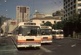 131347: Wellington Station Bus Terminal Trolley Buses 212 258 and 221