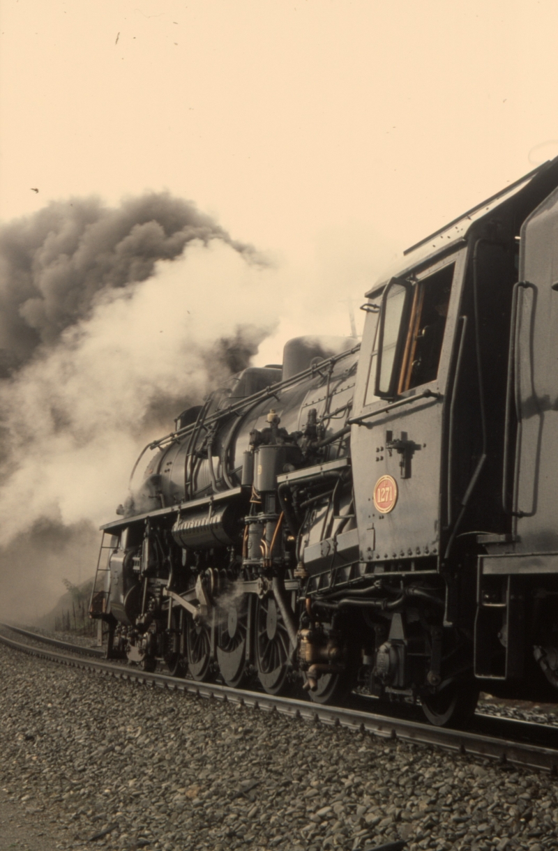 131448: Cass Bank Steam Incorporated Special to Christchurch Ja 1271