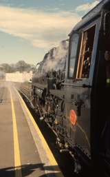 131452: Christchurch Steam Incorporated Special from Arthurs Pass