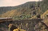 131620: Wingatui Viaduct Taieri Gorge Railway looking South