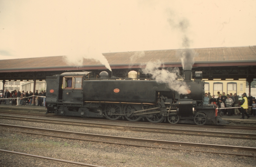 131683: Dunedin Centenary Parade Wab 794