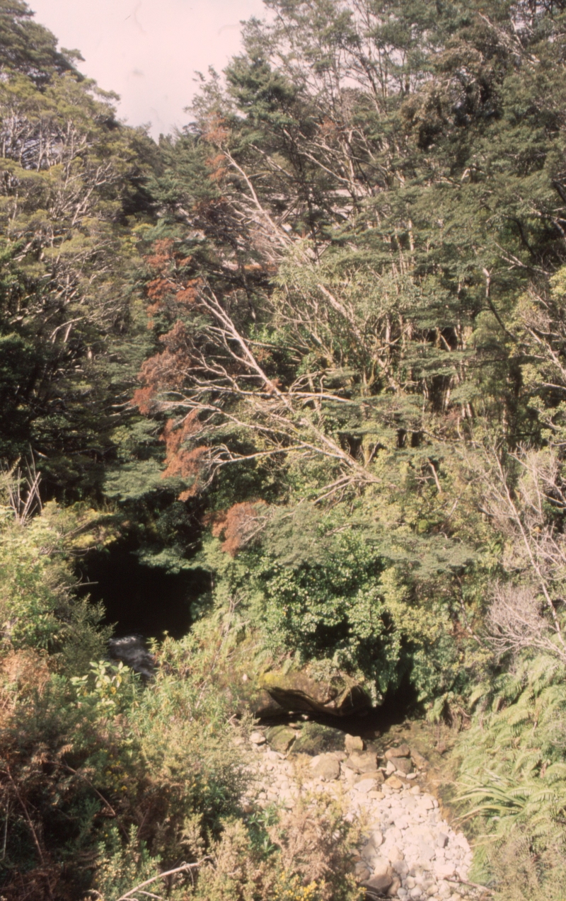 131888: Ford Creek Bridge Roa Incline viewed from North side