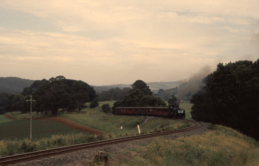 131906: Fielder Bridge 'Fielder Flyer' to Gembrook G 42
