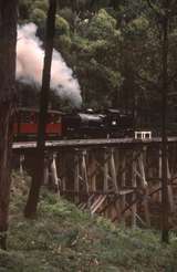 131913: Bridge No 8 Curved Trestle 'Fielder Flyer' to Belgrave G 42