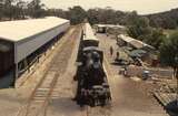 131941: Moorooduc Passenger from Mornington Yuilles Road K 163