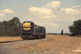 131985: Montgomery Seymour Railway Heritage Centre Special to Bairnsdale T 357 T 320