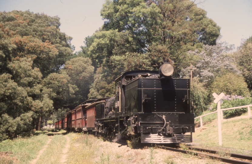 131990: Clematis Return Luncheon Train to Belgrave G 42