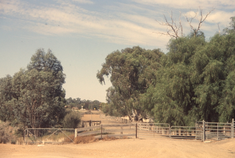 132042: Swan Hill Livestock Siding end of track looking towards Swan Hill