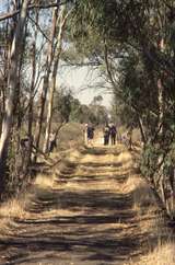 132078: Nacurrie Wetuppa Bullock Hide Creek Bridge looking towards Murrabit