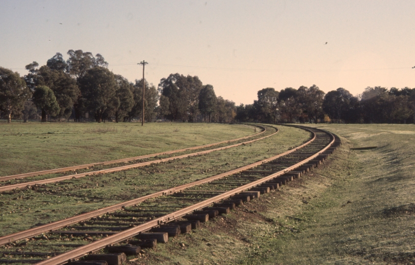 132144: Ladysmith livestock Siding km 539.5 looking towards Wagga Wagga