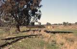 132152: Humula looking towards Tumbarumba from Wagga Wagga end level crossing