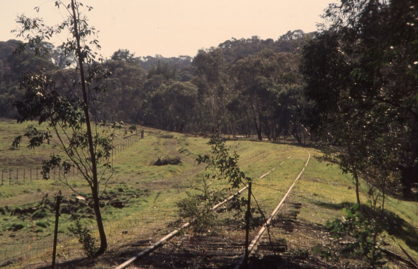 132154: Rosewood looking towards Wagga Wagga from Wagga Wagga end level crossing